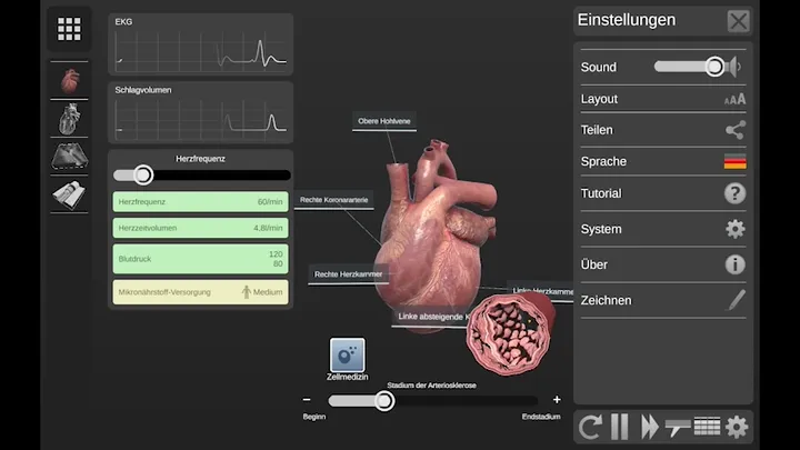 bodyxq Gesundheits-App mit interaktiver 3D-Herz-Visualisierung bodyxq Gesundheits-App mit interaktiver 3D-Herz-Visualisierung