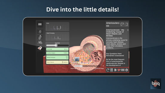 bodyxq Gesundheits-App als interaktives 3D-Lernmodell des Herzens bodyxq Gesundheits-App als interaktives 3D-Lernmodell des Herzens