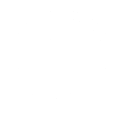 Ein Globus Symbol für die Visualisierung für Web App Entwicklung unserer App Agentur