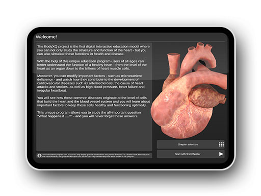 bodyxq_screenshots_04